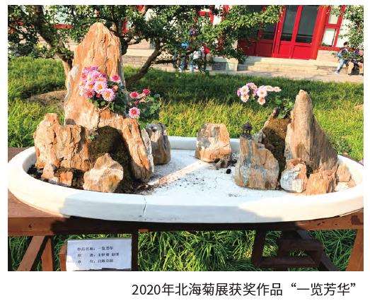 宋朝起民间就有一年一度的菊花大会