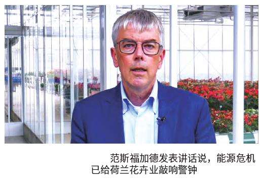 能源危机给荷兰花卉业敲响警钟