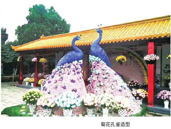 开封菊花文化节