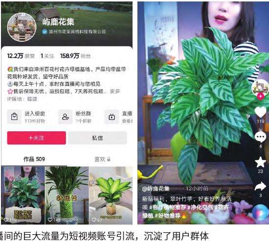为什么鲜花电商存在鲜花货不对板的现象
