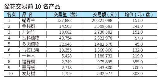 2022年8月台北花卉市场的盆花行情