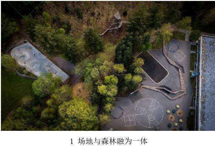 斯科尔城市森林和校园操场的互相渗透