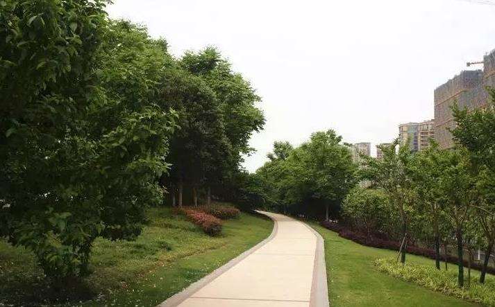 杭州城市的4个绿化建设特征