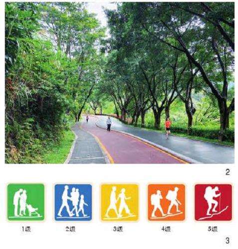 深圳绿道分级分类体系的3个建构