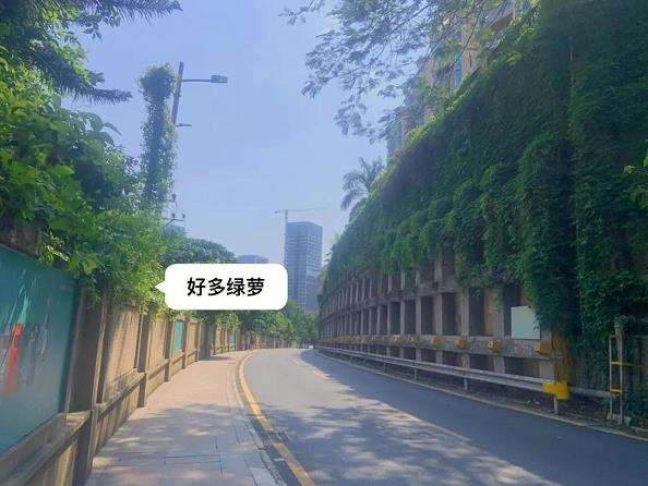 深圳绿道分级分类标准应用研究综述