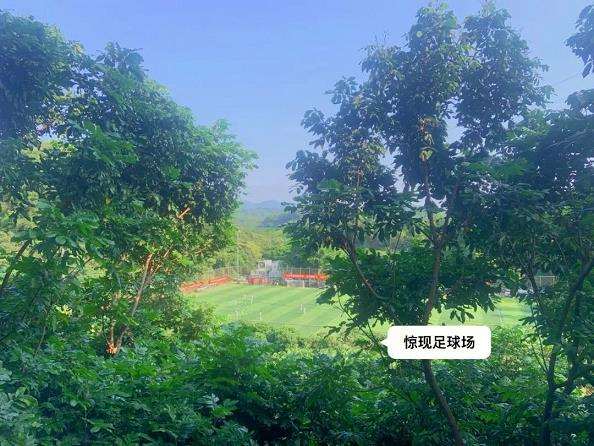 深圳绿道分级分类体系现状及的3个问题