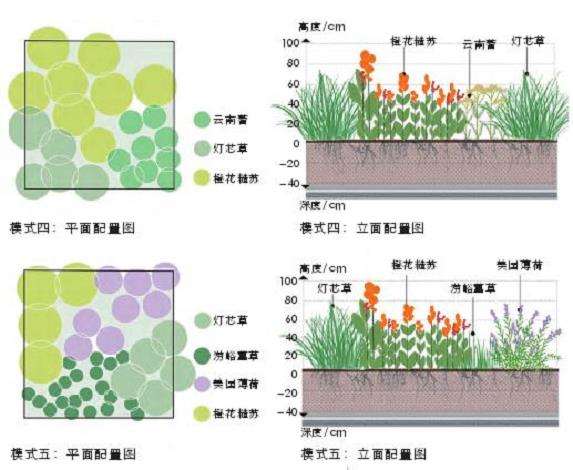 小尺度绿地景观全生命周期碳汇量化研究