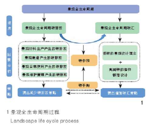 基于全生命周期的城市小尺度绿地碳平衡