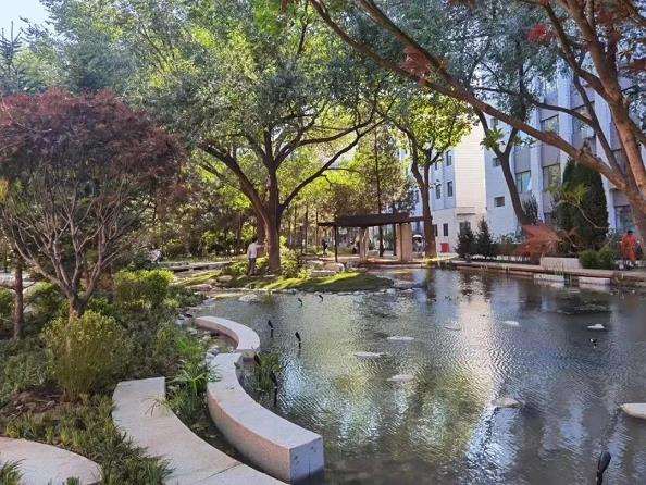 北京林业大学景观要素的5个结果与建议