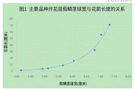 影响大花蕙兰品质的3个核心因子