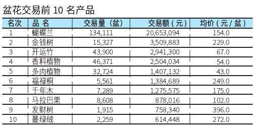 2022年7月台北花卉市场的盆花行情