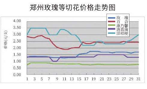 2022年7月郑州切花市场行情