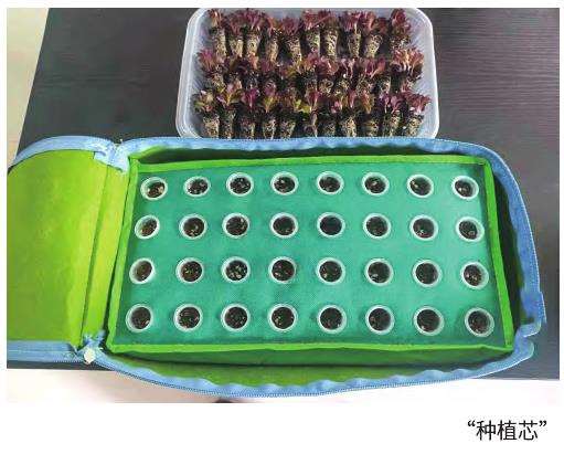 为什么阳台农业带来百亿级市场