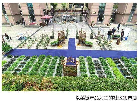 为什么阳台农业带来百亿级市场