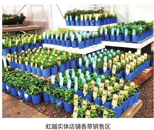 为什么香草运营企业机构越来越多