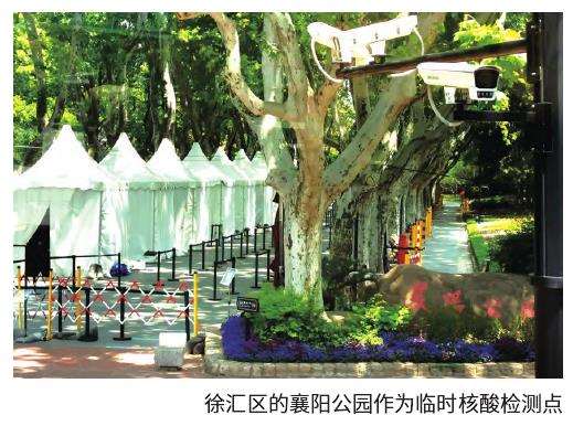 城市园林景观和园艺植物中寻找共同点