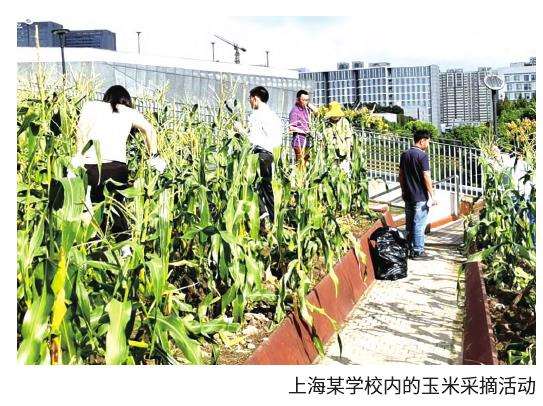 城市园林景观和园艺植物中寻找共同点