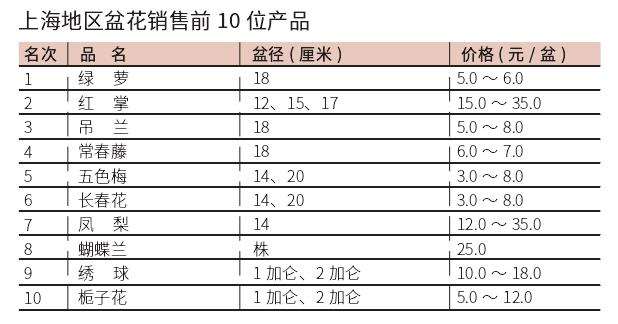 2022年6月上海盆花市场迎来销量大爆发