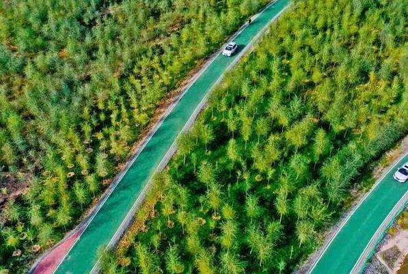 市域生态空间碳汇功能实现途径