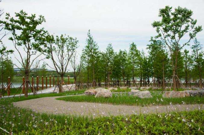 城市绿地斑块碳汇功能实现的3个途径