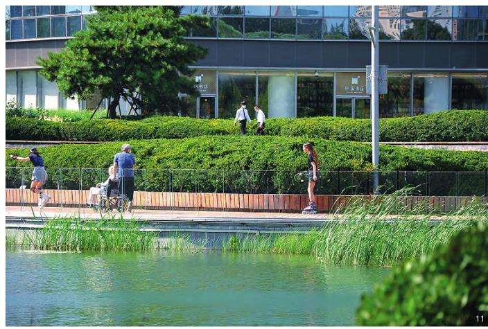亮马河滨水空间修复后，市民在亲水步道与自然生态岸线间活动的场景