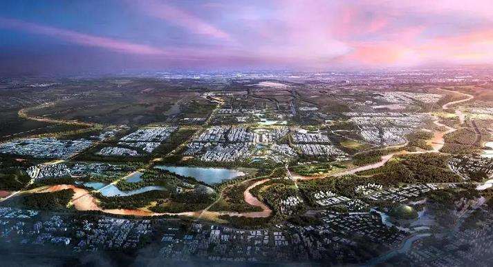 城市蓝绿空间的5个外文文献研究