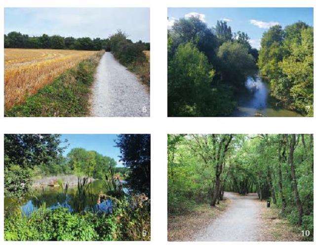 加斯蒂兹边缘地区的翡翠与蓝宝石项链策略