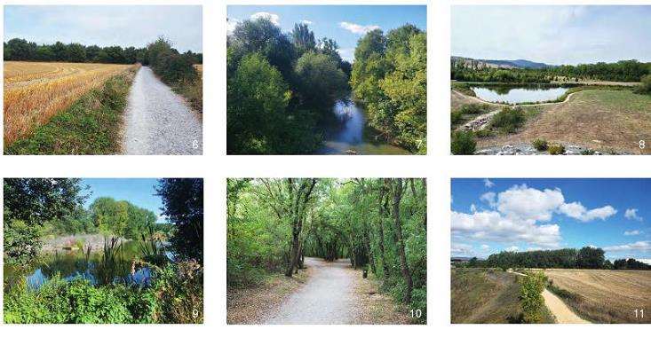 边缘景观在蓝绿空间系统中的贡献