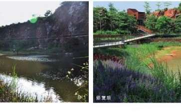 风景园林视角下的4个坑口迹地植被修复
