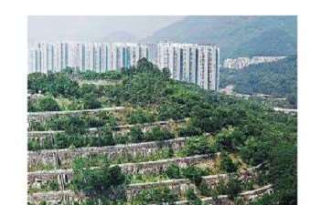 风景园林视角下的4个边坡植被修复