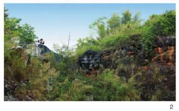 风景园林实践中的采石废弃地植被修复方法