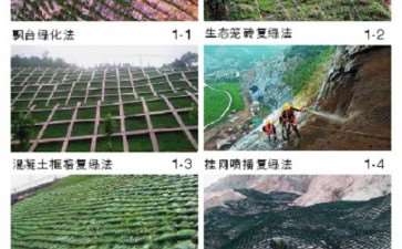 复垦理论下的采石废弃地植被修复方法