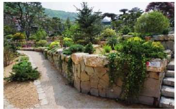 风景园林学视角下的采石废弃地植被修复策略