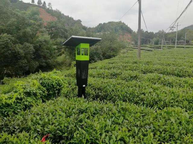 天敌保护型林地营建的3个策略