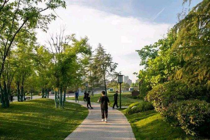 基于植被群落特征的大型公共绿地环境效益制图方法