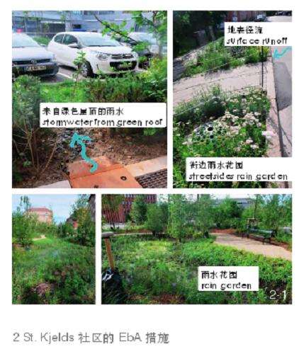 Bryggervangen街雨水花园改造实景图