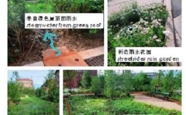 哥本哈根EbA措施在气候弹性社区应用的案例