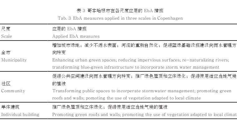 哥本哈根市EbA措施相比其他措施的突出优势列表
