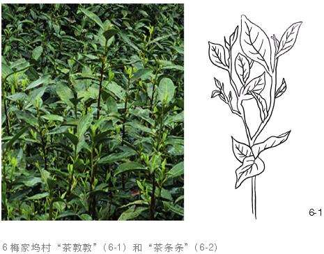 自然场地的认知与表达