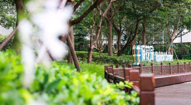 城市动物生境的3个游憩管理