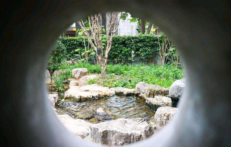 城市动物生境营建的4个天然设施