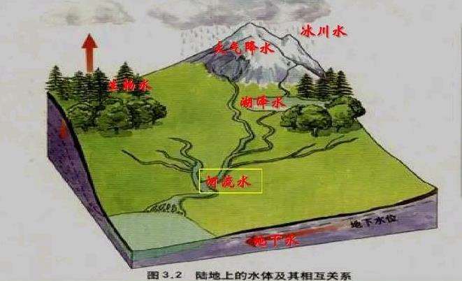 城市动物生境营建的4个水域类型