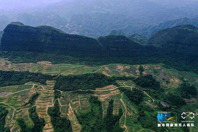 基于重庆山地城市渗流特征的织脉设计方法