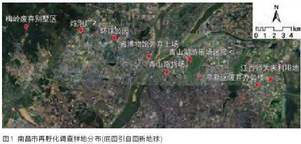 南昌市城市废弃地再野化时空特征研究