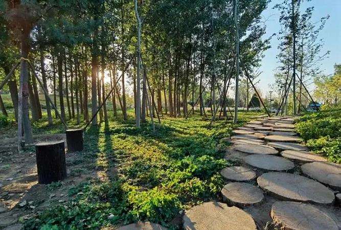 城市森林公园景观