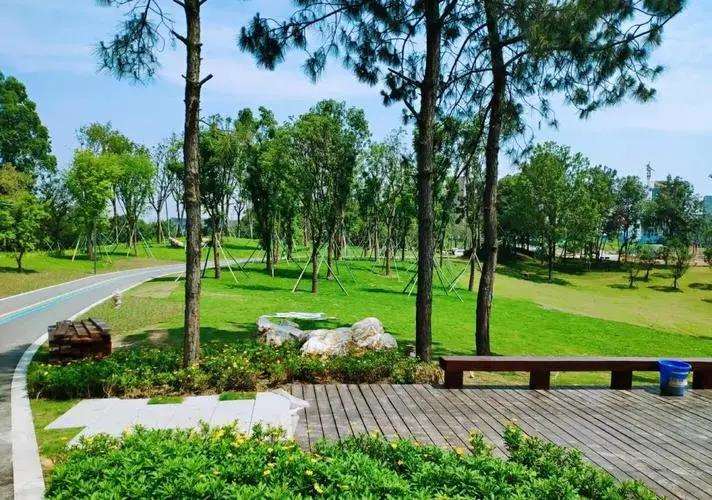 城市森林公园景观群体差异性