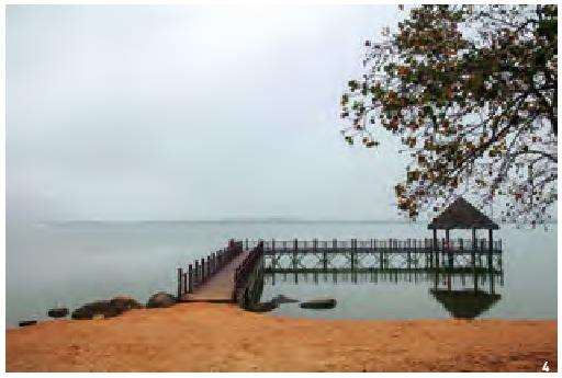 城市森林公园景观度值与景观要素间