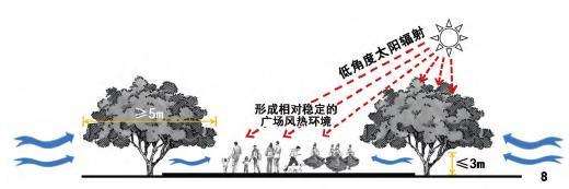 个城市公园乔木优化配置