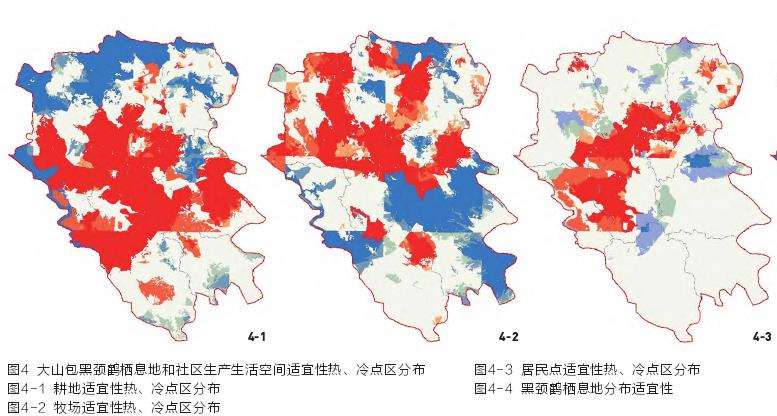 多功能空间格局分析结果