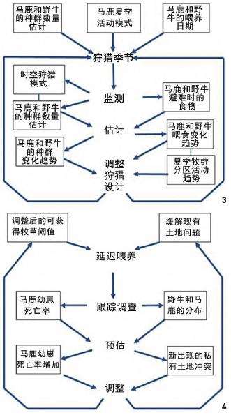 野生动物栖息地适应性管理的典型模式与案例